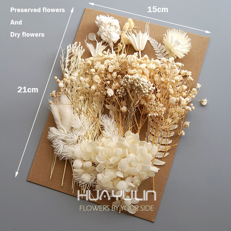 1 パック人工植物ドライ本物の花プリザーブド材料エポキシ樹脂 - Candle Making Supplies Online のレビューと価格